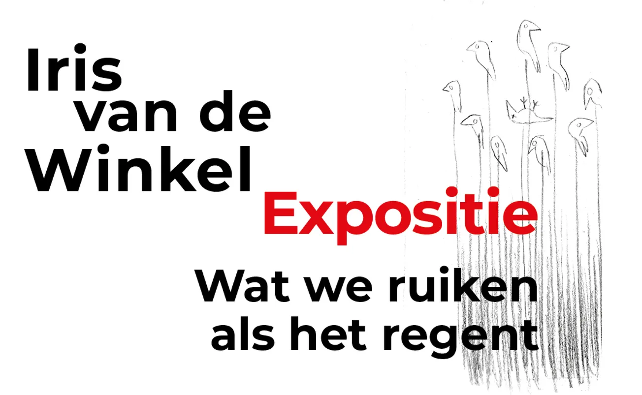 Expositie Wat we ruiken als het regent in Artichoque Art Gallery